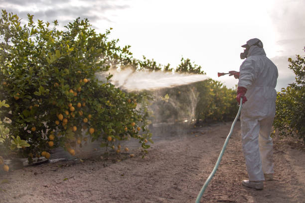 Best Pest Control Near Me  in Indian River Shores, FL